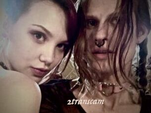 2_trans_cam