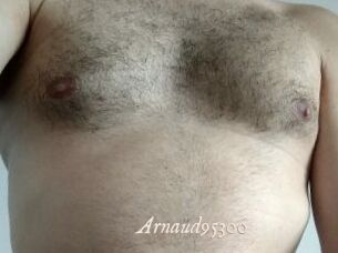 Arnaud95300