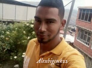 Alexbigcock22