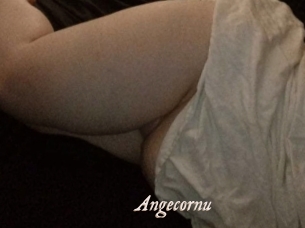 Angecornu