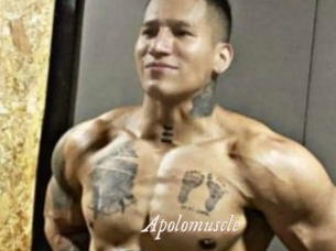 Apolomuscle