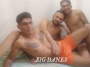 BIG_DANES