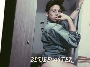 BLUEFOOSTER