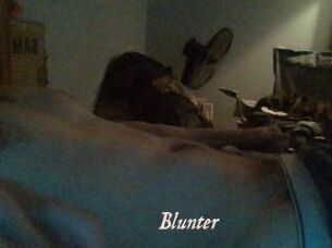 Blunter