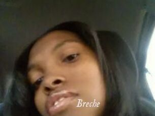 Breche