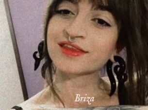 Briza