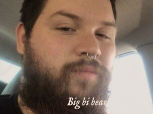 Big_bi_bear