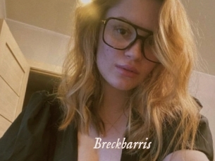 Breckbarris