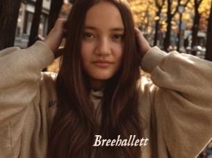 Breehallett