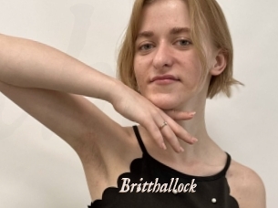 Britthallock