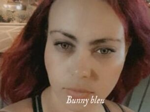 Bunny_bleu