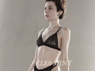 CLEO_MINT