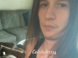 Calidude1134