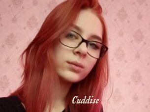 Cuddise