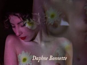 Daphne_Bonnette Chobix 