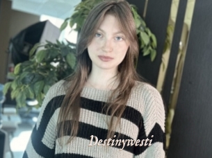 Destinywesti