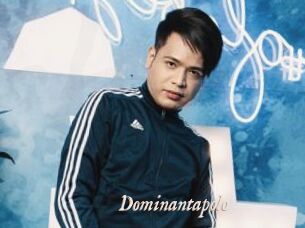 Dominantapolo