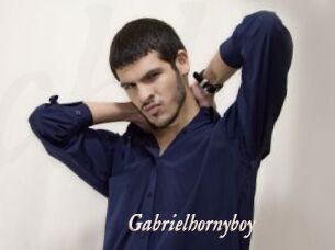 Gabrielhornyboy