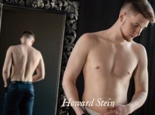 Howard_Stein