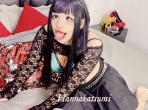 Hannakatsumi