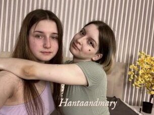 Hantaandmary