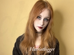 Harrietbigger