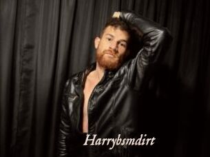 Harrybsmdirt