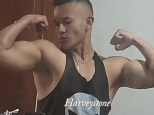 Harveystone