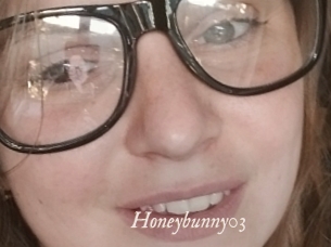 honeybunny03 Chobix 
