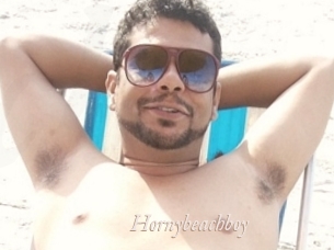 Hornybeachboy