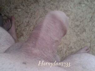 Hornydan1733