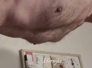 Hornyke