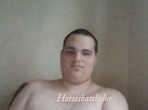 Horsesbatchelor