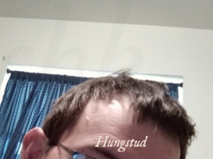 Hungstud