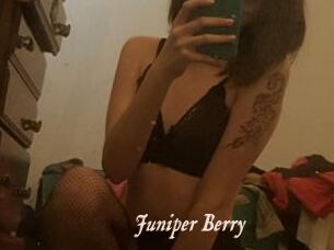 Juniper_Berry