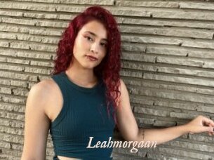 Leahmorgaan