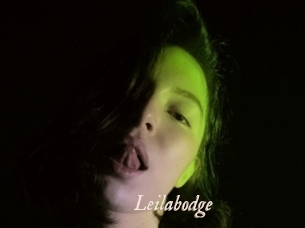 Leilabodge