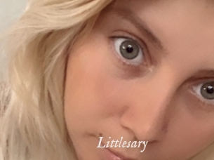 Littlesary