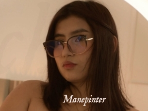 Manepinter