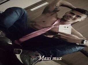 Maxi_mux