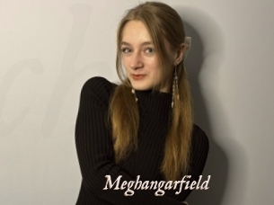 Meghangarfield