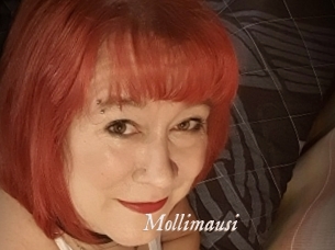 Mollimausi