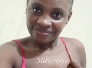 Mollineakinyi