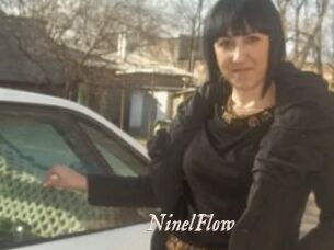 NinelFlow