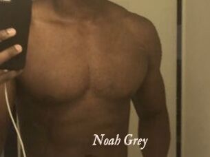 Noah_Grey