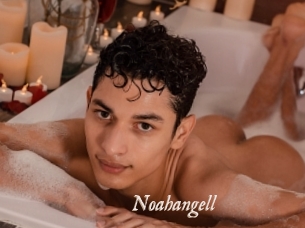 Noahangell