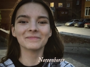 Noreenborer