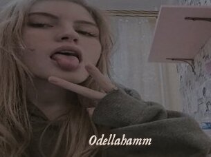 Odellahamm