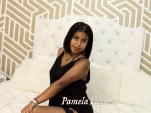 PamelaTuner