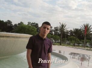 PeaceofLoves